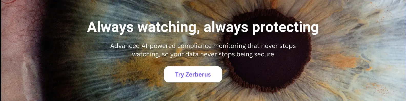 AI powered compliance