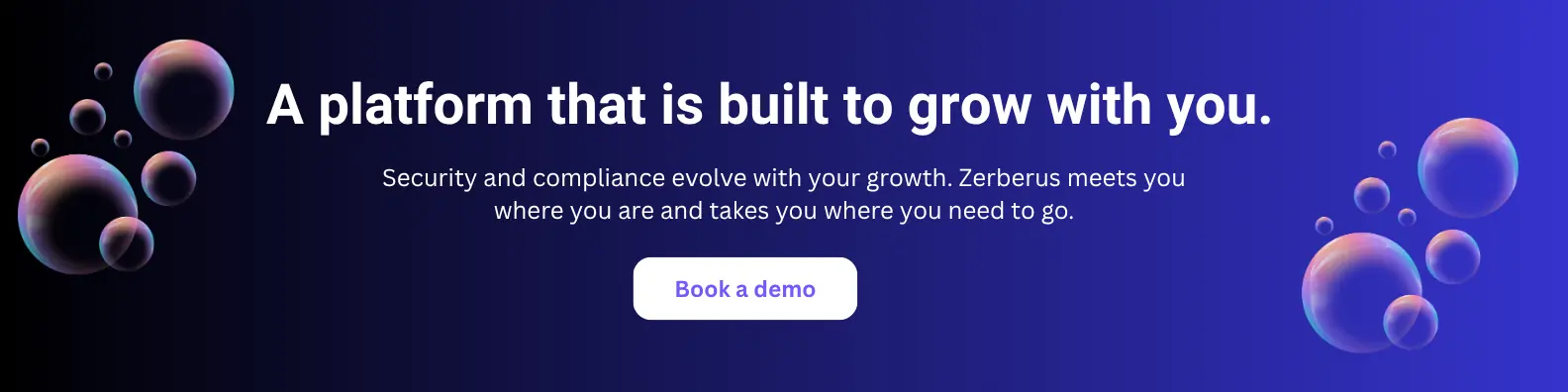 scaling a business with zerberus